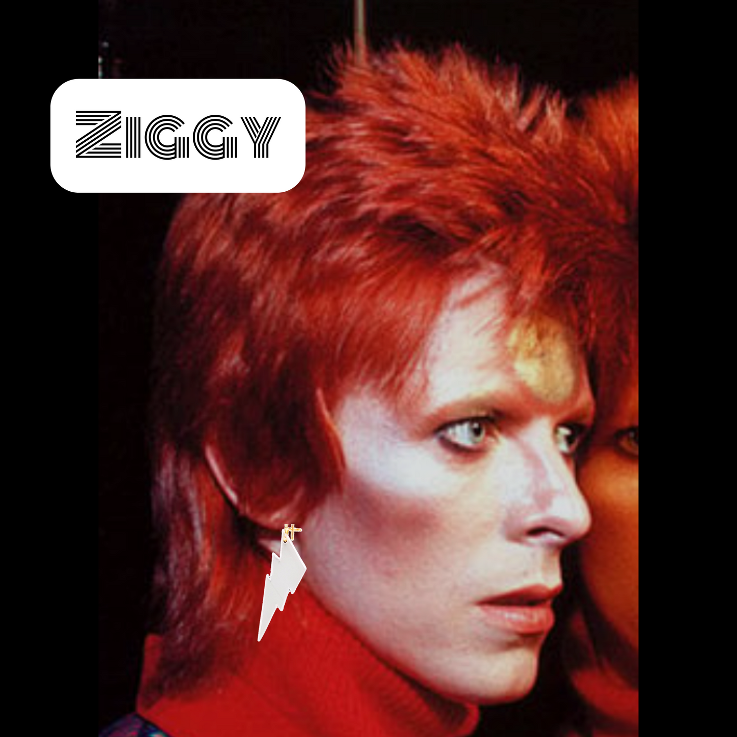 Ziggy
